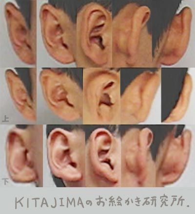 Ear Anatomy, Head Anatomy, 얼굴 드로잉, 얼굴 그리기, Face Drawing Reference, Human Figure Drawing, Anatomy Poses, Anatomy For Artists, Body Reference Drawing