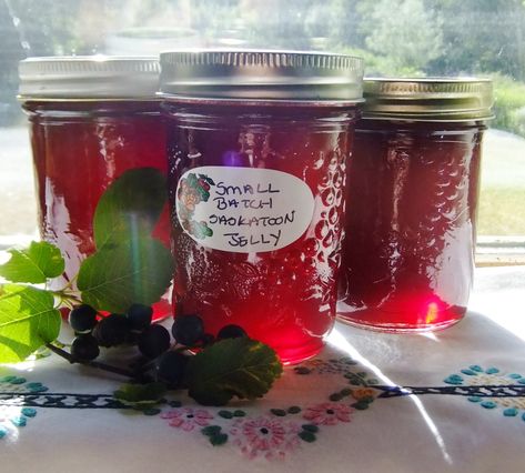 While my oldest son was visiting, we spent some time talking and picking berries.  This was a very casual act of foraging unlike the foraging marathons of my childhood. I’m happy with this as… Saskatoon Jelly Recipe, Juneberry Recipes, Saskatoon Berry Recipes, Saskatoon Jam, Saskatoon Recipes, Saskatoon Berry Recipe, Blueberry Rhubarb Jam, Sour Cherry Recipes, Rhubarb Jelly