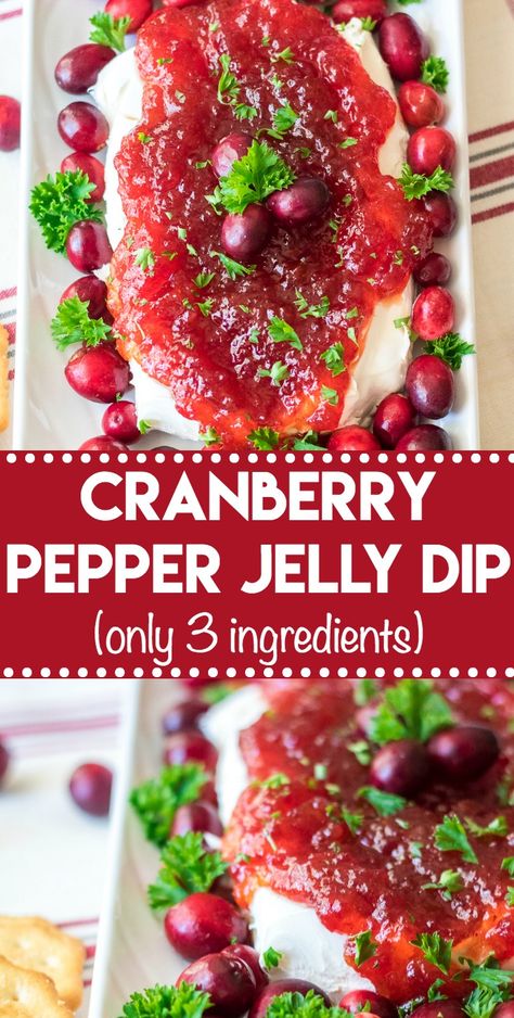 Cranberry Pepper Jelly Dip, everyone's favorite holiday appetizer Cranberry Pepper Jelly, Pepper Jelly Dip, Canned Cranberry Sauce, Festive Appetizers, Cranberry Sauce Homemade, Pepper Jelly, Quick Appetizers, Cranberry Recipes, Jelly Recipes