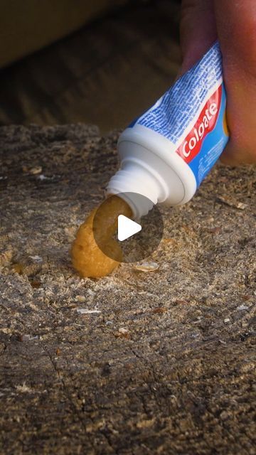 Survival Life Hacks Camping Ideas, Survival Hacks Diy, Prepping Survival Emergency Preparedness, Survival Prepping Diy, Survival Videos, Diy Survival, Survival Fire, Survival Hacks, Camping Hacks Diy