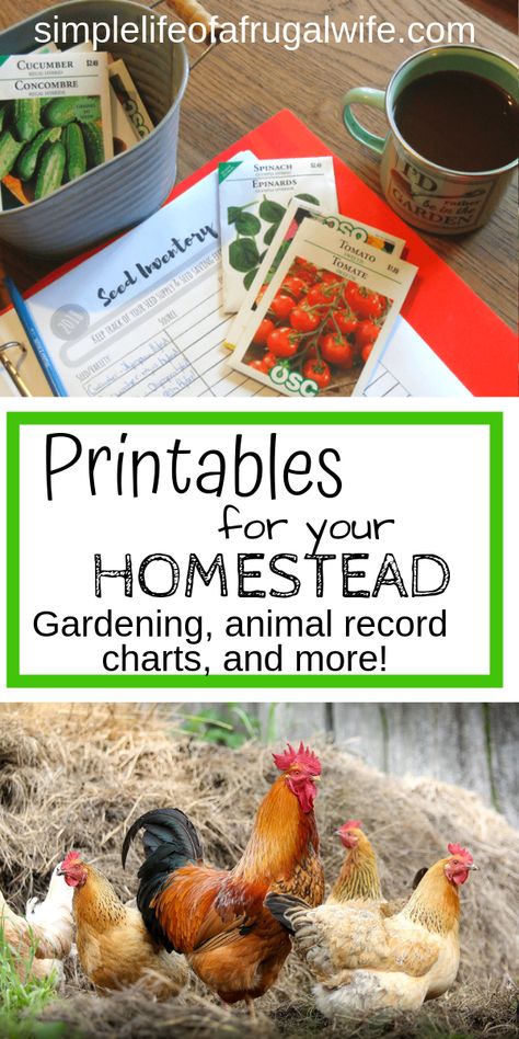 Homestead Record Keeping Free Printable, Homestead Kitchen Organization, Farm Record Keeping Free Printable, Homesteading Binder, Homesteading Printables, Homestead Binder, 5 Acre Homestead Layout, Homestead Organization, Homestead Management