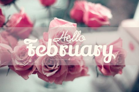 Hello February Facebook Cover, February Facebook Cover, Happy New Month Quotes, Hello February Quotes, Welcome February, February Quotes, Hello February, Fb Banner, Fb Cover Photos