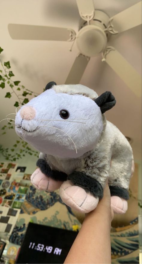 Cute Teddy Bear Pics Aesthetic, Build A Bear Opposum, Build A Bear Possum, Build A Bear Opossum, Cute Build A Bears Aesthetic, Build A Bear Aesthetic, Build A Bear Frog, Cute Stuffies, Build A Bear Workshop