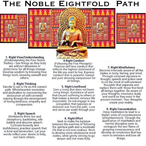 Eight-fold Path Eight Fold Path Buddha, 8 Fold Path Buddhism, Eight Fold Path, 8 Fold Path, Buddhism Philosophy, Buddhism For Beginners, Buddhism Beliefs, Eightfold Path, Showing Compassion