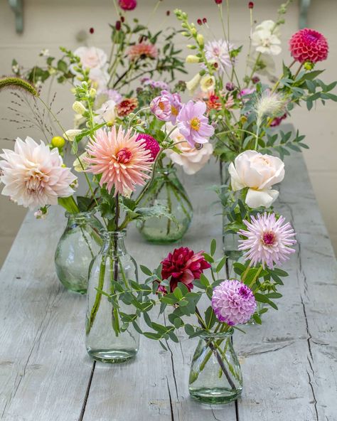 Green and Gorgeous on Instagram: “I do love a cactus dahlia to contrast with the ball and decorative forms. Here are two of my favourites, the peachy one is 'Preference' and…” Dahlia Vase Arrangement, Dahlia Bud Vases, Cactus Dahlia, Bud Vases Wedding, Wildflower Centerpieces, Fall Garden Wedding, Garden At Home, Wedding Marquee, Asparagus Fern