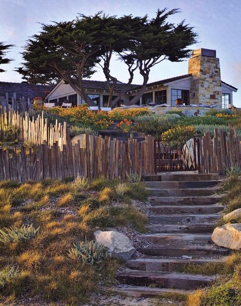 Fiona Brockhoff Design » Yencken Material’s and Planting Concepts California Coastal Landscape Design, Bernard Trainor, Beach Fence, Timber Fence, Coastal Landscaping, Shade Garden Design, Urban Garden Design, Urban Backyard, Rose Garden Design