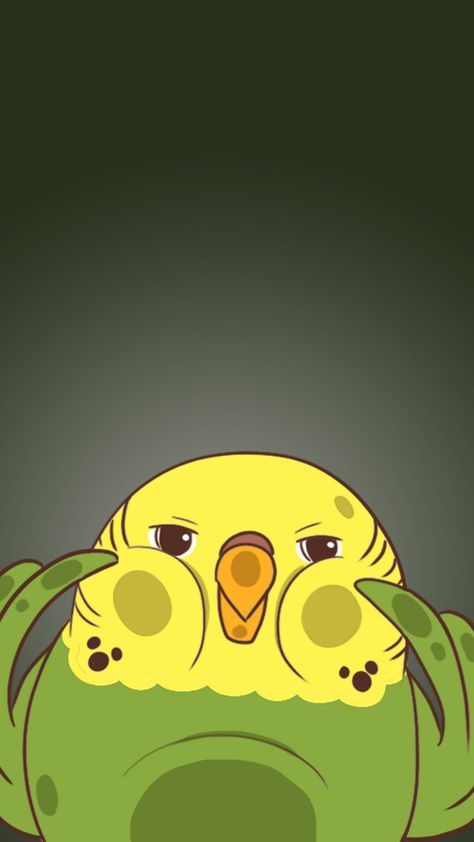 Cute Budgie Wallpaper, Budgies Wallpaper, Kuş Wallpaper, Budgie Wallpaper, Parakeet Wallpaper, Bird Wallpaper Iphone, Budgie Drawing, Pineapple Conure, Yellow Budgie