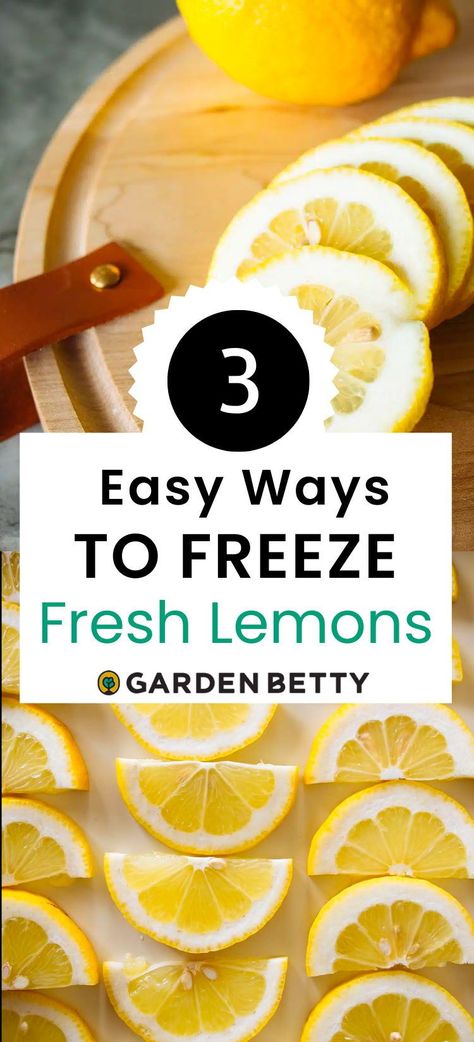 Did you know you can freeze fresh lemons to use later? But it's not a matter of freezing the whole fruit; you can freeze a lemon while making it much more useful in the kitchen! Here are 3 easy ways to do that so you always have lemons ready in a pinch when a recipe calls for it. Can You Freeze Lemons, Freeze Lemons, Garden Betty, Freezing Lemons, Natural Cough Syrup, Easy Punch, Frozen Lemon, Dried Lemon, Easy Drink Recipes