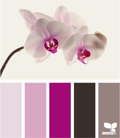 Radiant Orchid” Pantone's Versatile Color of the Year! Dark Wood Furniture, Orchid Color, Paint Swatches, Radiant Orchid, Purple Design, Adult Colouring, Design Seeds, Colour Board, Shades Of Pink