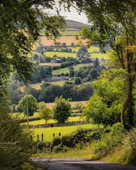 Visit Ireland on Instagram: "What a beautiful photo of Mount Leinster captured by @orla_b_mcevoy "If you have the words there's always the chance that you'll find the way ~ Seamus Heaney#. Mount Leinster is a 794-metre-high mountain in the Republic of Ireland. It straddles the border between Counties Carlow and Wexford, in the province of Leinster. #turismoirlanda #entdeckeirland #greenbutton #the_full_irish_ #ig_ireland_ #eire #irishcentral #the_full_irish_ #LoveIreland #icu_ireland #ib4ud Culture Worldbuilding, Ireland Core, Carlow Ireland, Ireland City, Ireland People, Backpacking Ireland, Ireland Culture, Trips Abroad, Ireland Hotels