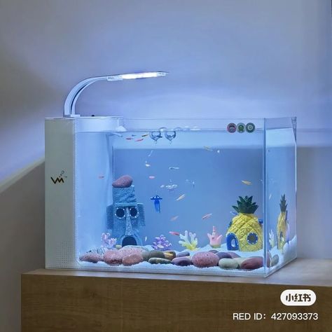 Fish Tank Themes, Tang Fish, Fish Tank Terrarium, Pretty Fish, Sewing Room Design, Aquascape Aquarium, Aquarium Design, Pinterest Room Decor, Cute Fish