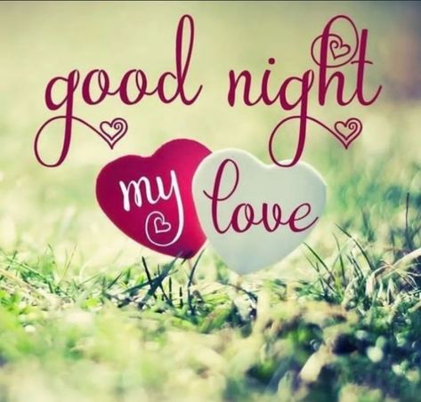 Goodnight Pics, Nite Quotes, Good Night My Love, Good Night Status, Night My Love, Good Night For Him, Wallpaper For Whatsapp, Good Night Love Pictures, Good Night Quotes Images