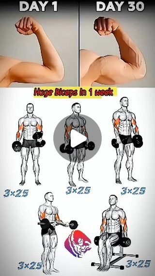 Power Plus Peak | Grow your biceps in 30 days.  Biceps Exercise, Biceps Workouts, Biceps Day, Biceps Workout, Gym Workout, Gym Exercise, Gym, Workout  Follow... | Instagram Workout For Biceps, Bicep Workout Men, Bicep Workout, Pull Day Workout, Back And Biceps, Biceps Workout, Bicep Curls, Gym Life, Daily Workout