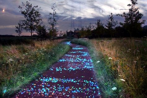 Daan Roosegaarde designed an interactive cycle path in the Netherlands along the lines of "Starry Night" by Vincent van Gogh only 600 meters long path, the path extends into the region of Eindhoven, where the artist lived from 1883 to 1885. Cycle consists of thousands of small stones that sparkle impressive at night. Vincent Willem Van Gogh, Gogh The Starry Night, Night Biking, Bike Lane, Bike Path, Starry Night Van Gogh, Dutch Artists, Eindhoven, Vincent Van Gogh