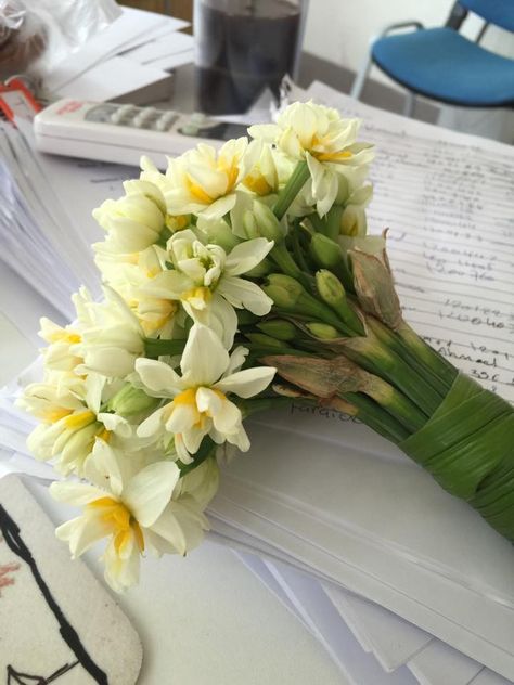 Nergiz in December - the beauty of Kurdistan - Thank you NWAS Narcissus Bouquet, Favorite Flowers, Beautiful Bouquet, Daffodils, Pretty Flowers, Table Decorations, Thank You, Collage, Plants