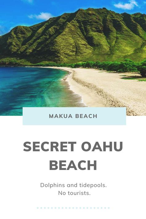 Makua Beach, Schools Of Fish, Waikiki Hawaii Beach, Hawaii Trip Planning, Hawaii Vacation Tips, Things To Do In Oahu, Hawaii Itinerary, Oahu Beaches, Oahu Vacation