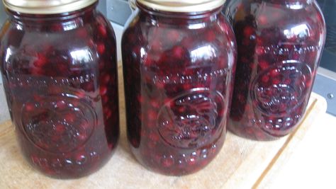 Saskatoon Berry Pie Filling Recipe | Allrecipes Saskatoon Pie Filling, Berry Pie Filling Recipe, Saskatoon Pie, Saskatoon Recipes, Saskatoon Berry Recipe, Saskatoon Berry Pie, Berry Pie Filling, Cherry Recipe, Fruit Soda