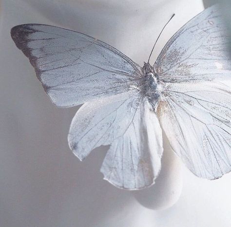 Donatella Dragna, Butterflies Aesthetic, Cybercore Aesthetic, Ethereal Aesthetic, White Butterfly, Sky And Clouds, White Aesthetic, Blue Butterfly, Book Characters