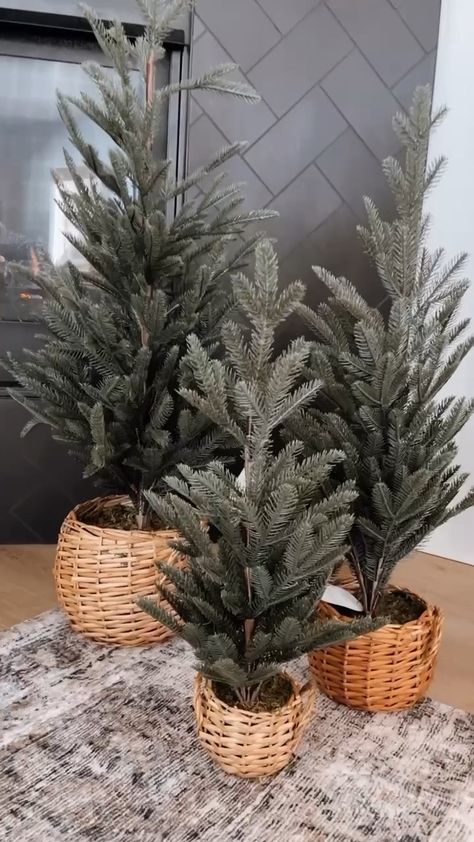 Tree In A Basket Christmas, Small Fake Christmas Trees, Tree In Basket Christmas, Small Christmas Tree In Basket, Christmas Trees In Baskets, Tree In Basket, Christmas Tree In Basket, Fake Christmas Trees, Small Christmas Tree