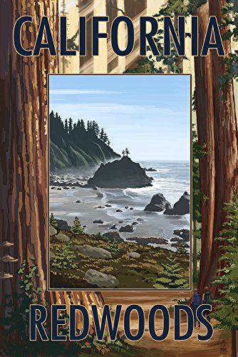 California Trees, Humboldt County California, Muir Woods National Monument, California Redwoods, Wpa Posters, Dream Trips, California Poster, Muir Woods, Wood Postcard