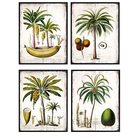 AmazonSmile: Palm Tree Decor - Tropical Wall Decor for Kitchen, Dining Room, Living Room - Beach House Wall Decor - Vintage Rustic Boho Home Decoration or Gift for Women, Men - 8x10 Picture Sign Print Set : Handmade Products Palm Tree Decor, Wall Decor For Kitchen, Tropical Artwork, Palm Tree Decorations, House Wall Decor, Tropical Wall Decor, Beach House Wall Decor, Unique Wall Art Decor, Palm Tree Wall Art