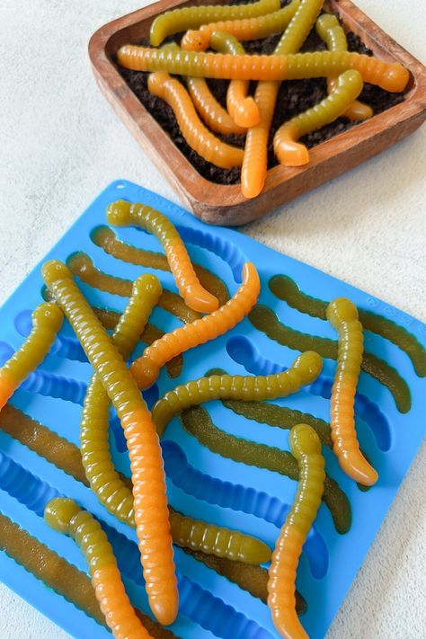 Homemade Gummy Worms - Feeding Tiny Bellies Gummy Worm Recipe, Homemade Gummy Worms, Gummy Worms Recipe, Tiny Bellies, Blueberry French Toast Bake, Sour Gummy Worms, Yogurt Melts, Kids Foods, Gummy Worm