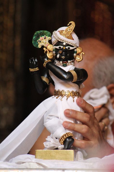 Sri Radha Raman ji, Vrindavan. One of my favorite photos. Radha Raman Ji Vrindavan, Radha Raman Ji, Sacred Forest, Puja Decor, Radha Raman, Trees In The Forest, Spiritual Sayings, Iskcon Krishna, Krishna Lila