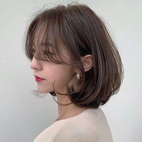 Korean Hair Color, Short Hair Tomboy, Short Hair Images, Korean Short Hair, Chestnut Hair Color, Brown Hair Balayage, Shot Hair Styles, Haircuts For Medium Hair, Haircuts Straight Hair