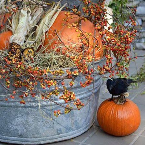 Dear fall, please hurry... :) #junkinaddict Entryway Fall Decor, Fall Decor Front Porch, Rustic Fall Centerpieces, Fall Porch Decor Ideas, Natural Fall Decor, Outdoor Fall Decor Ideas, Fall Porch Decor, Fall Leaf Garland, Corn Stalks