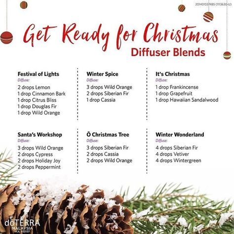 Cassia Diffuser Blends, Holiday Diffuser Blends, Christmas Diffuser Blends, Get Ready For Christmas, Essential Oil Diffuser Blends Recipes, House Smell Good, Essential Oil Diffuser Recipes, Oil Diffuser Recipes, Essential Oil Blends Recipes