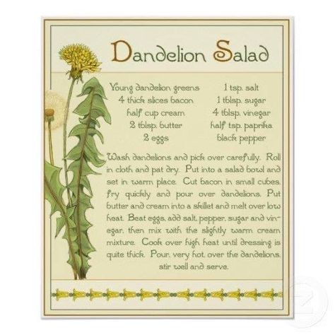 Dandelion Uses, Dandelion Salad, Dandelion Plant, Mom Breakfast, The Dandelion, Recipes Baking, Sounds Good To Me, Dandelion Recipes, Wild Edibles