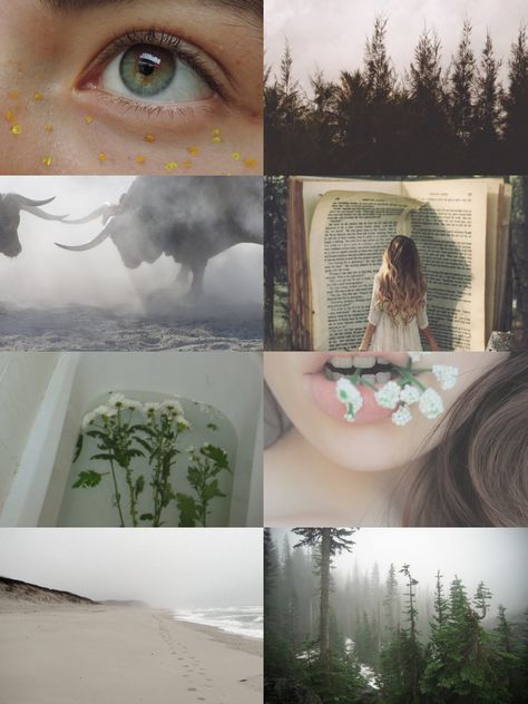 Taurus Aesthetic Moodboard, Taurus Mood Board, Taurus Moodboard Aesthetic, Taurus Sun Aesthetic, Taurus Moon Aesthetic, Taurus + Core + Aesthetic, Taurus Sun Sign, Sun Aesthetic, Taurus Moon