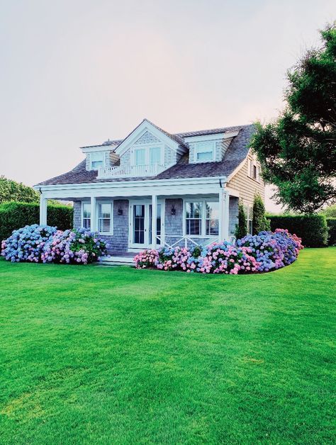 Landscape Design Wrap Around Porch, Hydrangea House Exterior, American Garden Style, East Coast House Exterior, Cape Cod Hydrangeas, Hydrengas Garden Ideas, Garden Ideas Drawing, Wedding Garden Ideas, Cape Cod Backyard