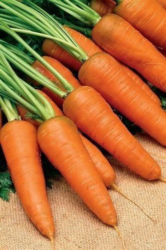 Fruits And Vegetables Images, Carrot Vegetable, Soil Types, Vegetables Photography, Vegetable Pictures, Veggie Patch, Fruit Photography, Beautiful Fruits, Root Vegetables