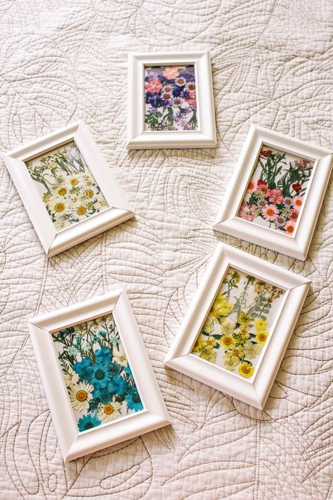 Pressed Flower Frame Wall Decor, Flower Pressed Picture Frame, Pressed Flowers Painting, Dried Flower Artwork, Pressed Flower Pictures, Dried Flower Pictures, Homemade Art Ideas, Pressed Flower Art Projects, Frame Art Ideas