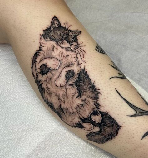 Pet Portrait Tattoos, Darkside Tattoo, Cat Portrait Tattoos, Small Dog Tattoos, Zelda Tattoo, Portrait Tattoos, Framed Tattoo, Different Artists, Cat Tattoo Designs