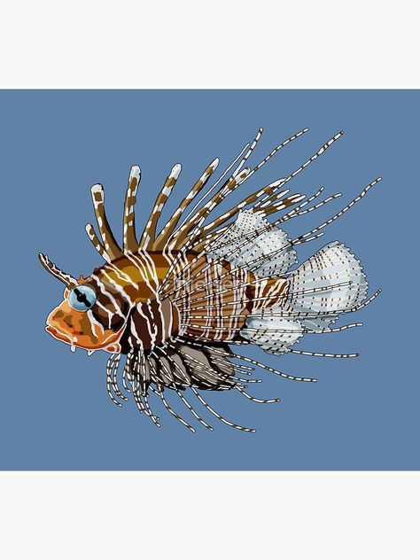 Dangerous Lion, Types Of Vertebrates, Fish Poster, Lion Fish, Fishing Decor, Fish Art, Brown Orange, Pale Blue, Sale Poster