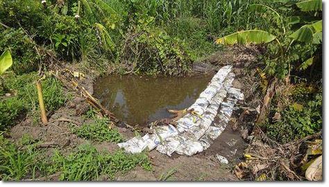 Dragonfly Pond, Fishing Pond, Water Dam, Rice Paddies, Homestead Life, Diy Pond, Houses In France, My Property, Garden Fun