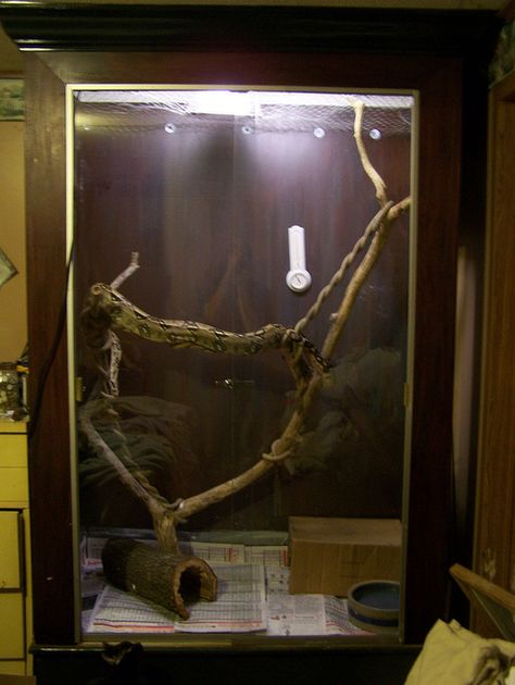 Another enclosure I like for the snake Boa Constrictor Enclosure, Boa Enclosure, Leopard Gecko Diy, Red Tail Boa, Chameleon Cage, Snake Cages, Animal Enclosures, Snake Enclosure, Bigger House