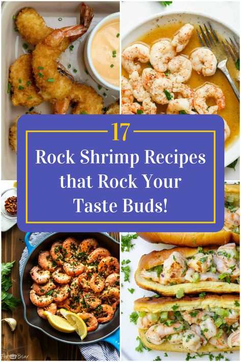 Collage of 4 rock shrimp recipes. Rock Shrimp Recipe, Coconut Cream Recipes, Rock Shrimp, Zesty Sauce, Shrimp Dishes, Shrimp Recipe, Shrimp Recipes, Taste Buds, Main Course