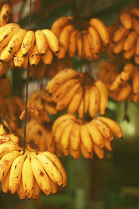 yum Habichuelas Guisadas, Puerto Rican Cuisine, Puerto Rico Food, Fruit Market, Puerto Rican Culture, Mystical Places, Puerto Rican Recipes, Ripe Bananas, Exotic Fruit