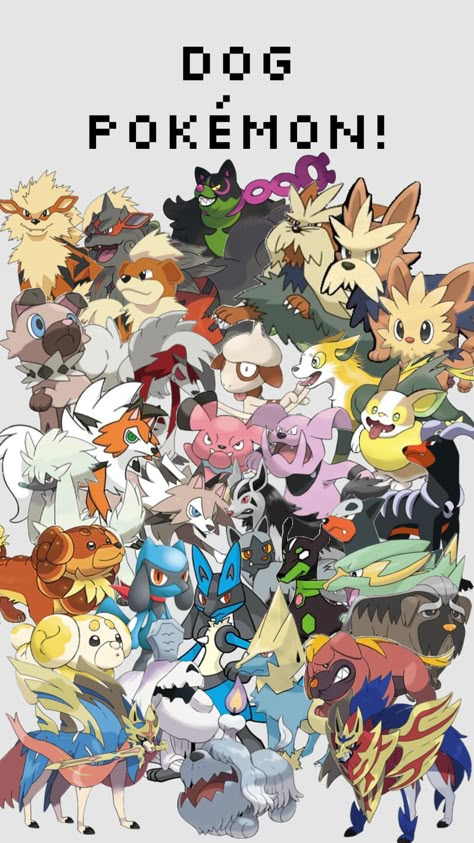 Dog Pokémon! #pokemon #dogs Dog Pokemon, Pokemon Party, New Pokemon, Aesthetic Images, Cute Pokemon, Pokemon Art, Your Aesthetic, Connect With People, Creative Energy