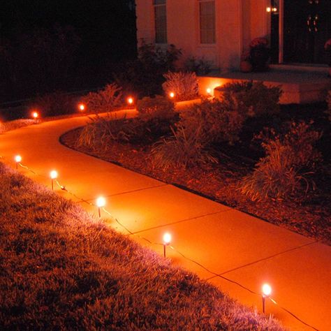 Specialties Electric Pathway Lights Orange (10 Count) (Orange) (Glass) Halloween Outside, Pathway Lights, Adornos Halloween, Halloween Orange, Pathway Lighting, Halloween Yard, Theme Halloween, Fall Halloween Decor, Halloween 2020