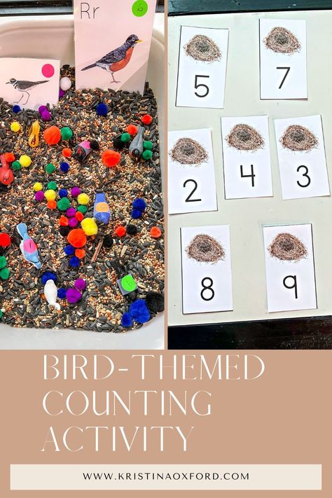 Bird Activities Preschool, Math Activities For Toddlers, Nature Preschool, Different Types Of Birds, Writing Activities For Preschoolers, Types Of Birds, Activity For Toddlers, Counting Activity, Playdough Activities