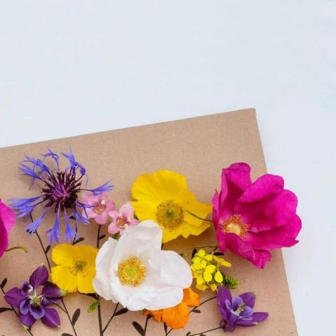 F R A N Z W O R K S on Instagram: "Yay, it’s getting colorful outside again! 🌷 Time for this great flower picture DIY ..it’s fun and makes a great last-minute gift! Draw a vase or bouquet of flowers on a piece of cardboard and drill a few holes where you want to thread the flowers later. Then we go outside to pick some wildflowers!   Tip: You can also press the finished flower picture to make it durable!  //   Yay, es wird wieder bunt draußen!🌷 Zeit für dieses tolle Blumensteckspiel ..das bringt Spaß & ist ein tolles Last-Minute-Geschenk! Malt eine Vase oder Blumenstrauß auf ein Stück Pappe und bohrt ein paar Löcher an die Stellen, wo ihr später die Blüten einfädelt wollt. Dann geht’s raus zum Wildblumen pflücken!  Tipp: Das fertige Blumenbild könnt ihr auch pressen, um das Bild haltbar Cardboard Flower Bouquet, Flower Picture, Bouquet Of Flowers, You Can, Flower Pictures, The Flowers, Go Outside, Last Minute Gifts, Last Minute