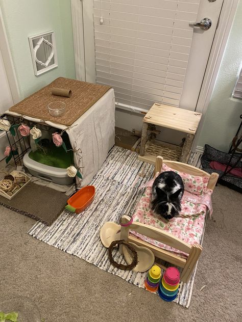 This was our home base using a smaller dog crate we had on hand that we modified to hold Twyla's litter box. The flowers are from a garland we got at TJ Max. Bunny Litter, Bunny Litter Box, Indoor Rabbit Cage, Small Dog Crate, Box Bunny, Bunny Room, Tj Max, Indoor Rabbit, Rabbit Cage