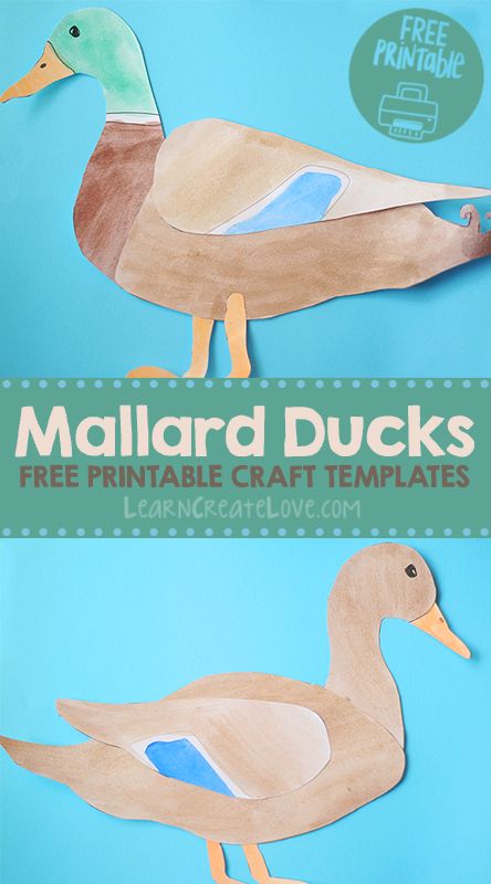 Mallard Ducks Printable Crafts Letter D Crafts, Summer Crafts For Toddlers, Spring Preschool Activities, August Crafts, Duck Crafts, School Age Activities, Mallard Ducks, Free Printable Crafts, Duck Art