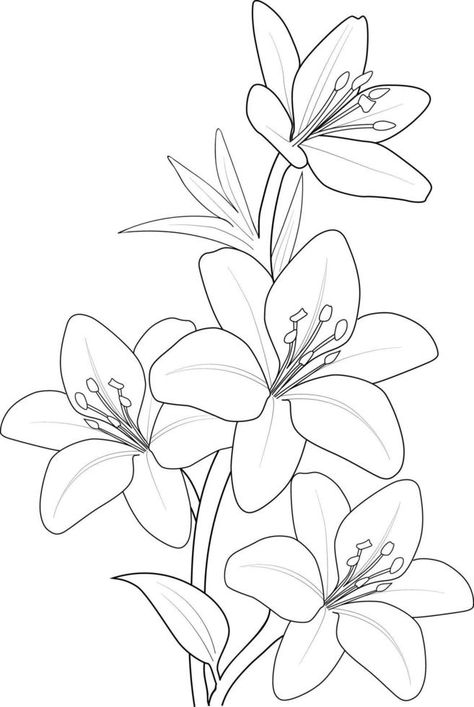 Black And White Outline, Leaves Sketch, Lilies Drawing, Botanical Line Drawing, Fabric Painting Techniques, Flower Line Drawings, Flower Outline, Illustration Botanique, Vector Sketch