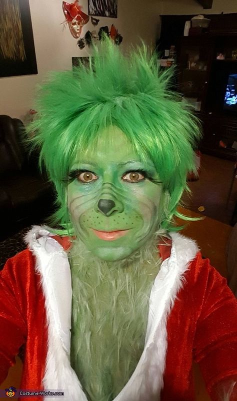 Grinch Costume Diy, Baby Grinch Costume, Diy Grinch Costume, Dog Costume Diy, Female Grinch, Grinch Dog, Grinch Costume, Warrior Makeup, Grinch Halloween