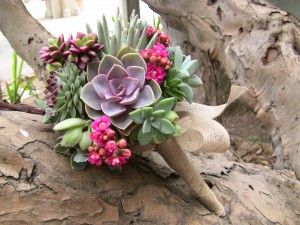 Succulent Extravaganza 2013 Schedule | Articles | Succulent Gardens: The Growing Grounds Sustainable Bouquet, Bouquet Succulent, Succulent Boutonniere, Succulent Bouquet Wedding, Bouquet Bride, Succulent Bouquet, Succulent Wedding, Agaves, Succulent Arrangements